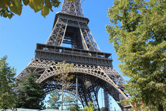 Find Out More About Champ de Mars Picnicking: The Ultimate Parisian Experience