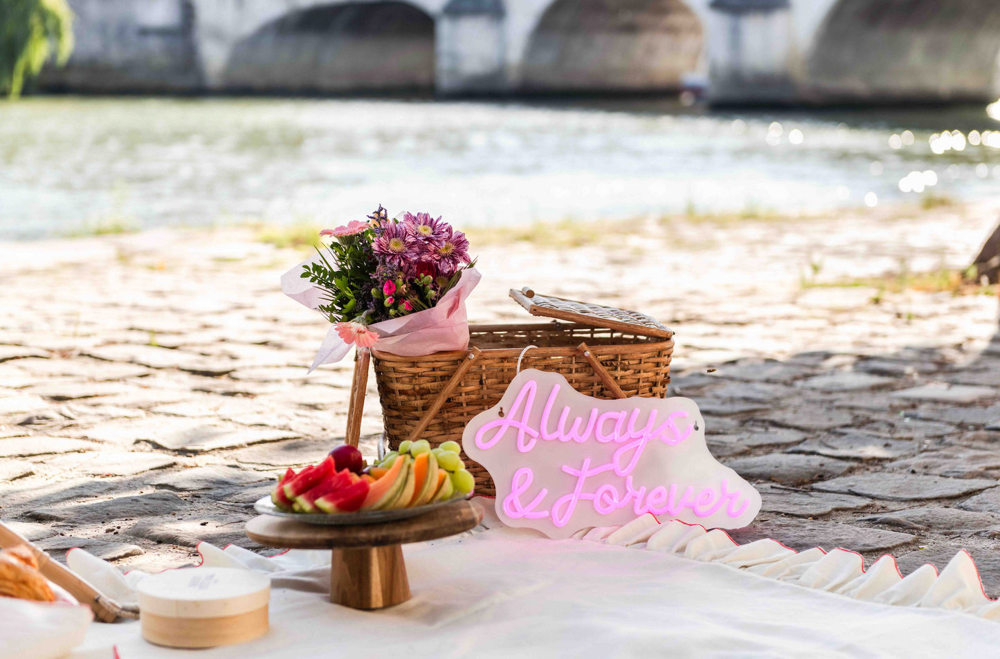 THE PARISIAN PICNIC PROPOSAL