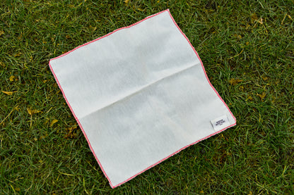 picnic napkins