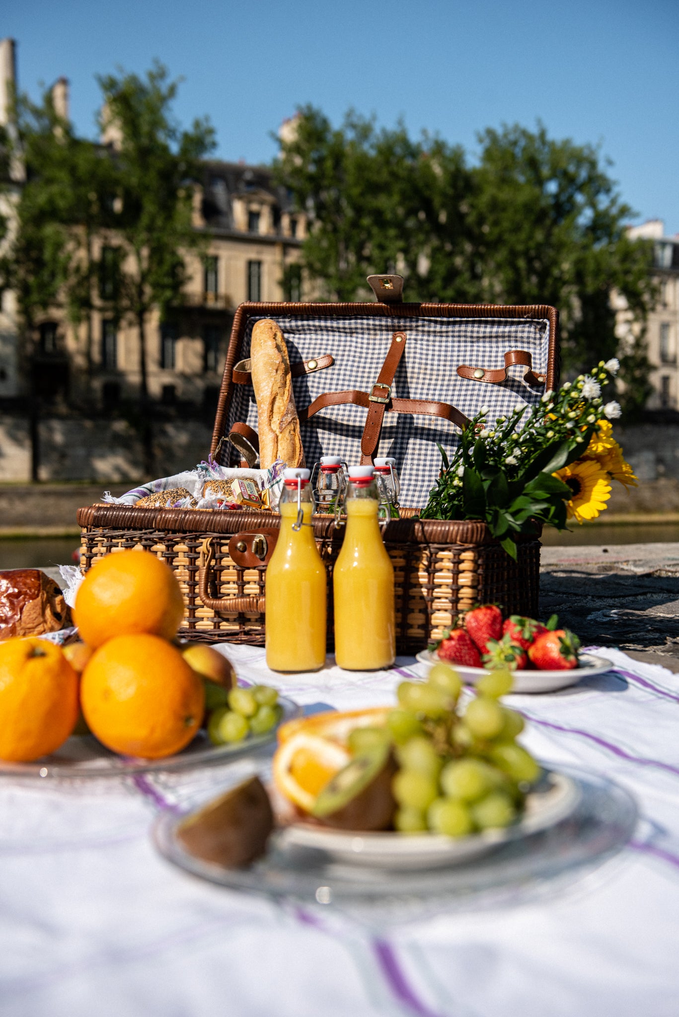 Picnic in Paris