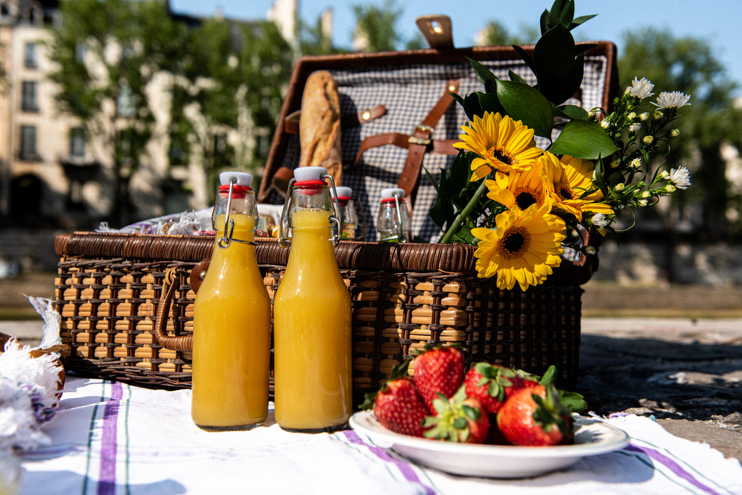 Picnic in Paris