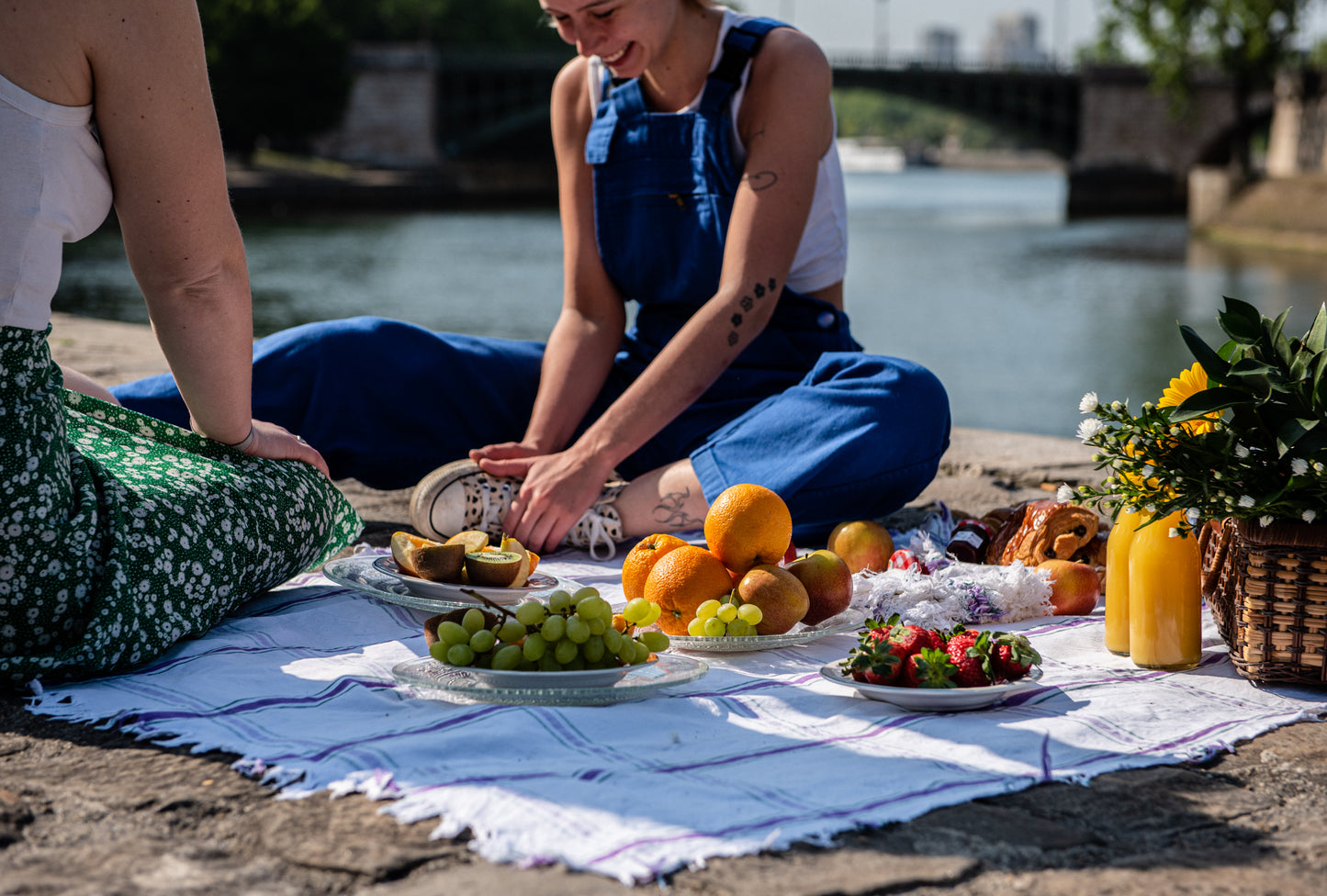 Picnic in Paris