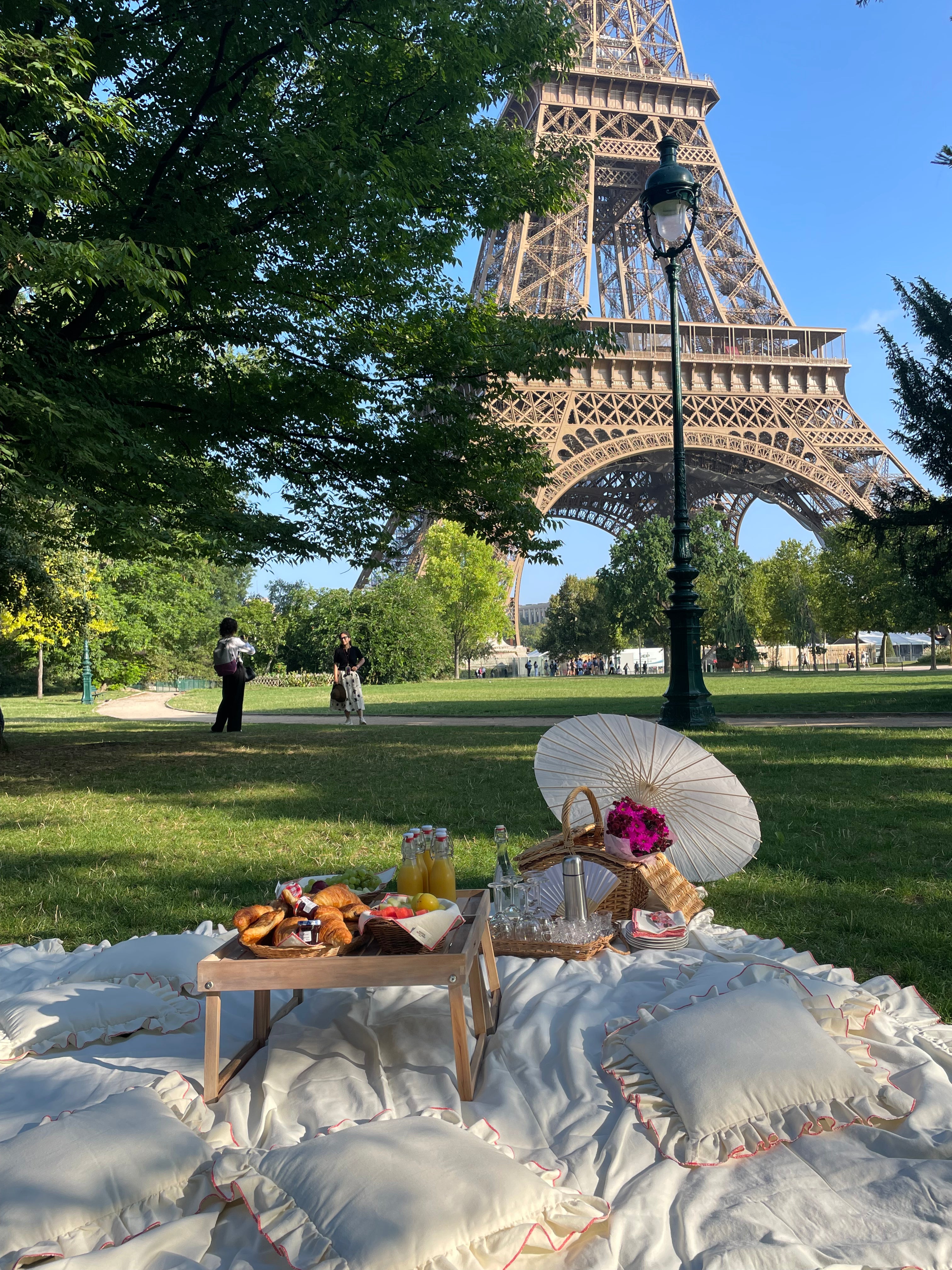 Picnic Paris Eiffel Tower
