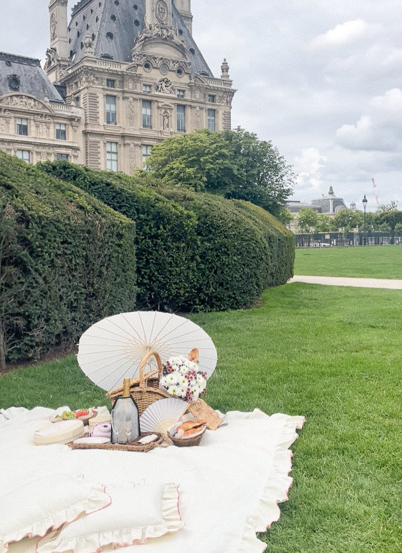 Picnic in Paris Louvre Rivoli