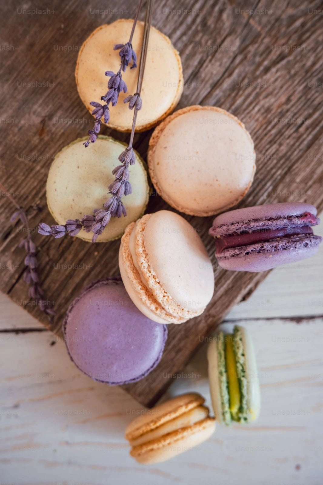 Macarons Maison Petit Parc